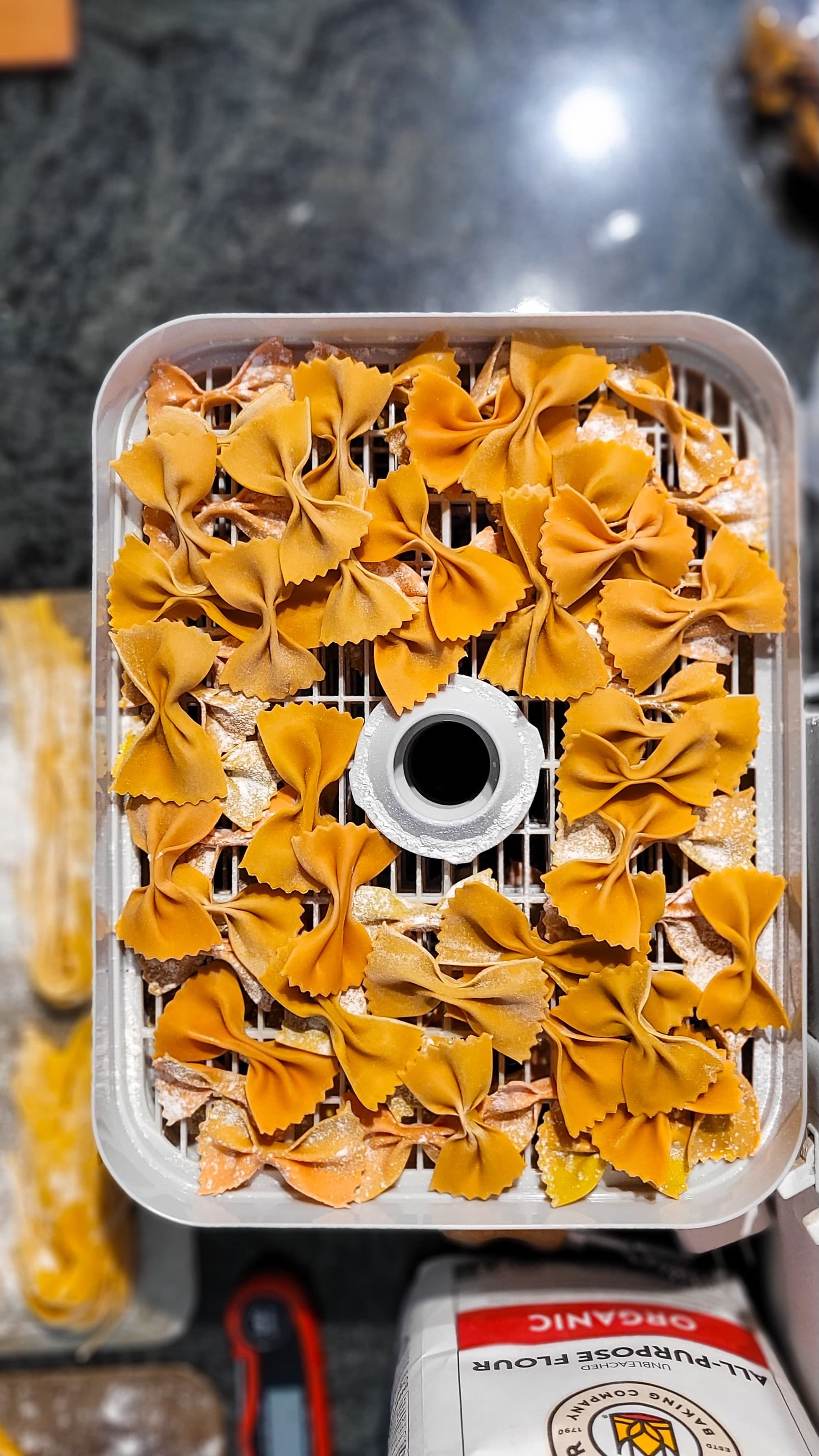 Fresh handmade pasta